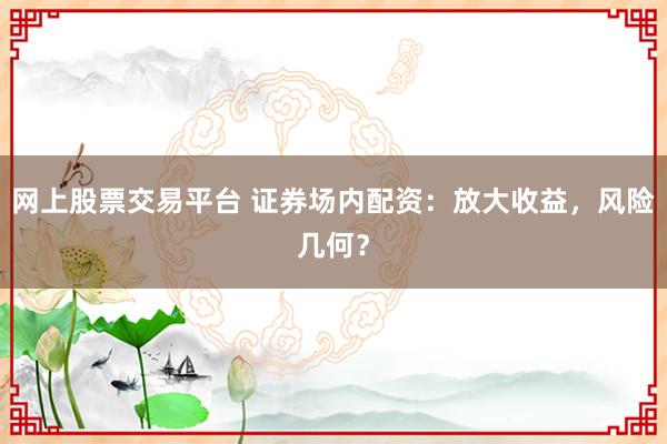 网上股票交易平台 证券场内配资：放大收益，风险几何？