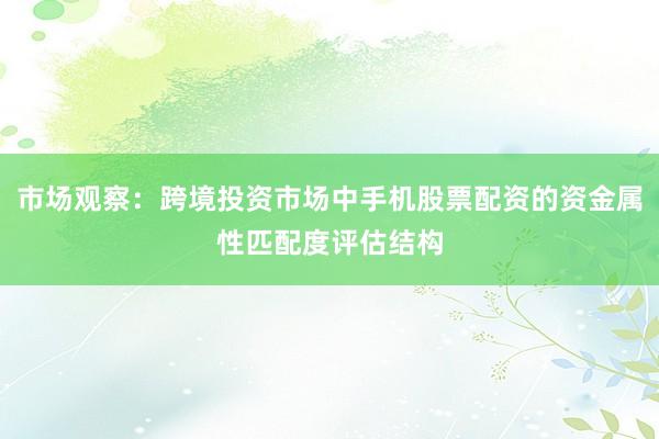 市场观察：跨境投资市场中手机股票配资的资金属性匹配度评估结构