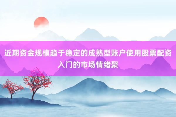 近期资金规模趋于稳定的成熟型账户使用股票配资入门的市场情绪聚