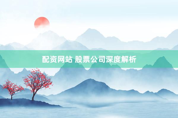 配资网站 股票公司深度解析