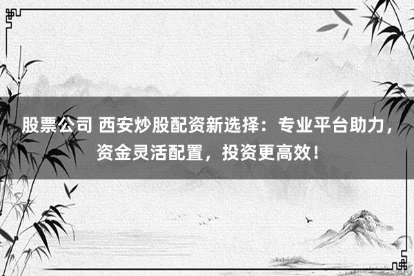 股票公司 西安炒股配资新选择：专业平台助力，资金灵活配置，投资更高效！